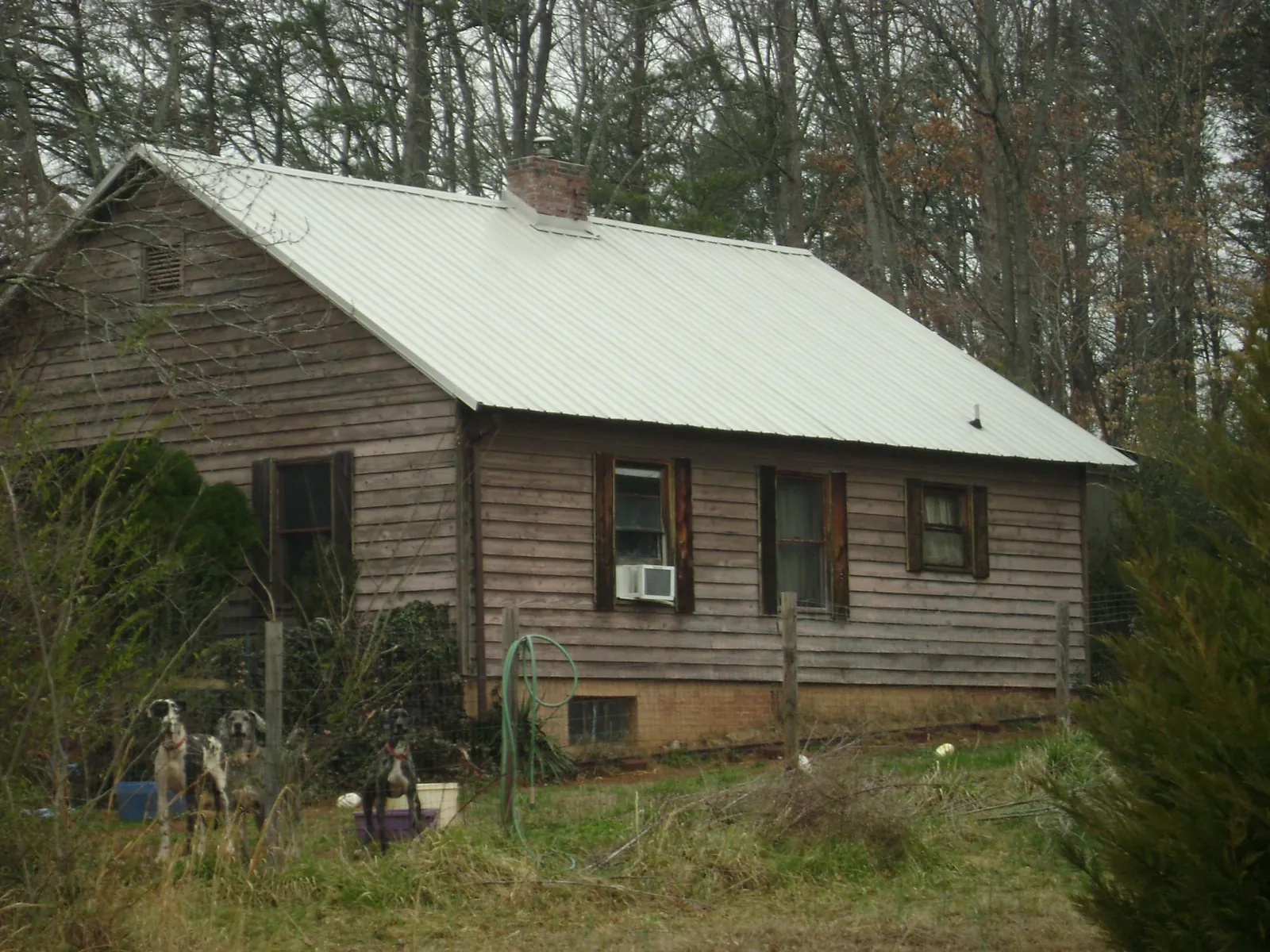 White metal roof on an old wood sided farmhouse, from a Asphalt Shingle Roof Repair job in Erie
